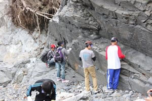 気仙沼市本吉町大沢の海岸の露頭で化石をさがす