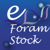 デジタル標本データベース「e-Foram Stock」