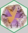 岩石・鉱物標本　イメージ