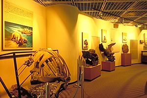 博物館2階「いろいろな哺乳類」コーナー