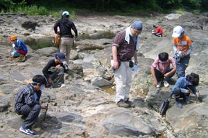 名取川の露頭で化石をさがす