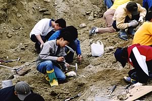 宮城県亘理町での化石発掘風景