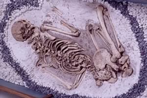 1998年度特別展示　「東北地方から発見された古人骨」