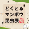 企画展「追悼・北杜夫 どくとるマンボウ昆虫展@東北大学」