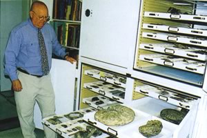 アンモノイド化石の収納ケース