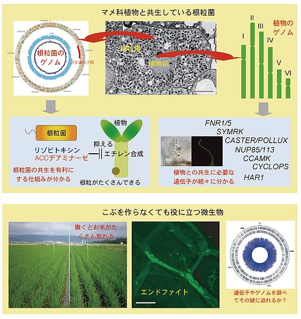 最新の生命科学の現状