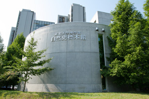 東北大学総合学術博物館外観