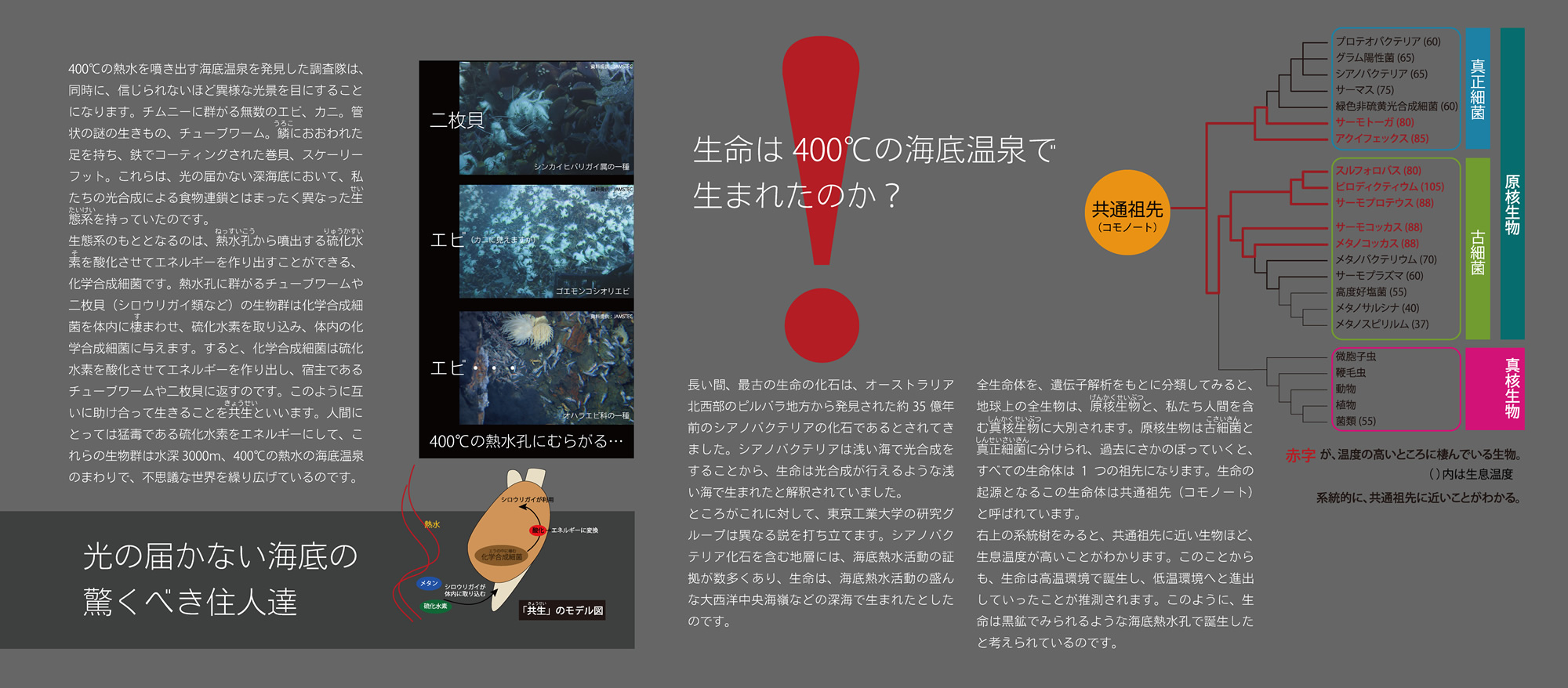 熱学外論 : 生命・環境を含む開放系の熱理論(槌田敦 著) / かも