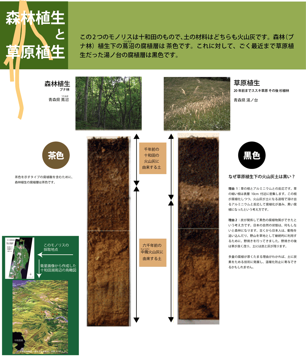 モノリスで土を見る「森林植生と草原植生」○企画展「土のけしき